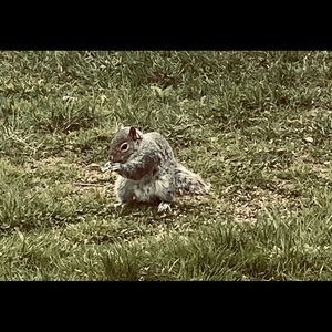 Meet your Posher, Joann